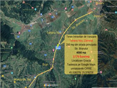 Zarnesti, Brasov- Teren Intravilan de Vanzare- 4000 mp, 17.75 euro/mp